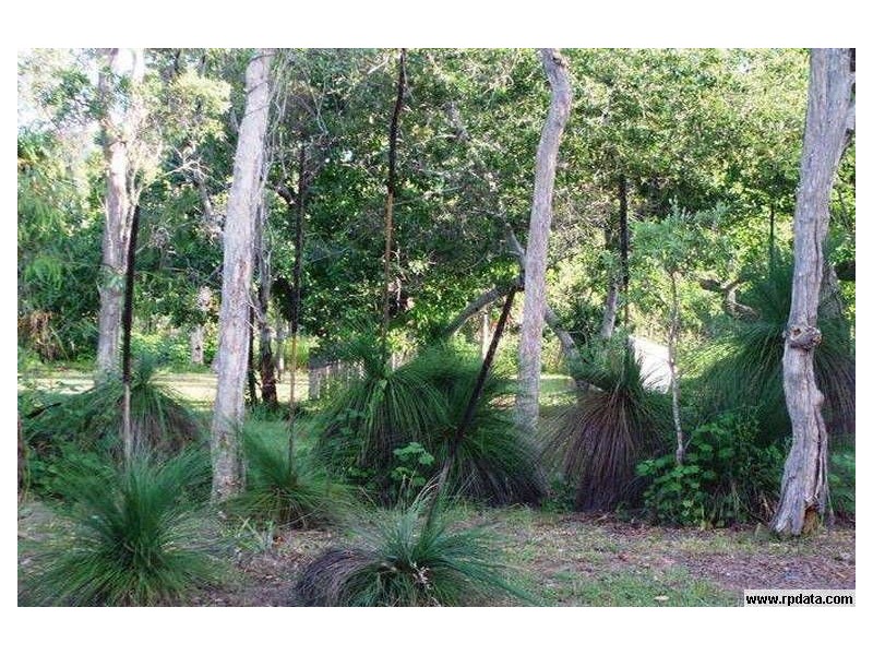 28 Murex Street, Dingo Beach QLD 4800