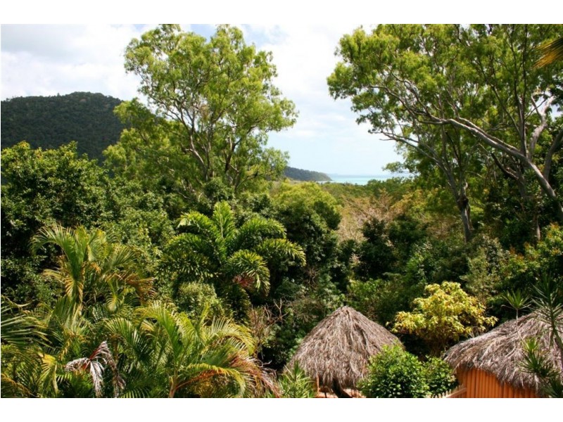 43 Namanula Drive, Flametree QLD 4802