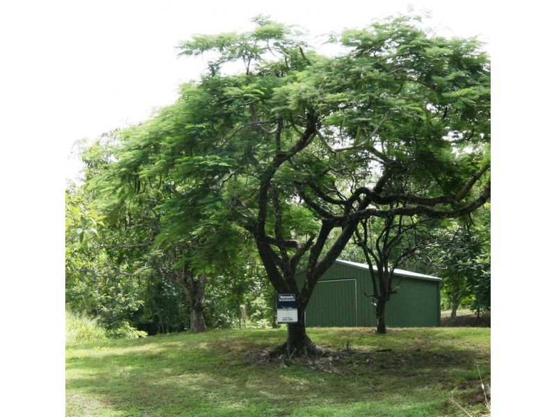4 Tyree Road, Mount Julian QLD 4800