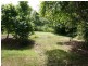 4 Tyree Road, Mount Julian QLD 4800