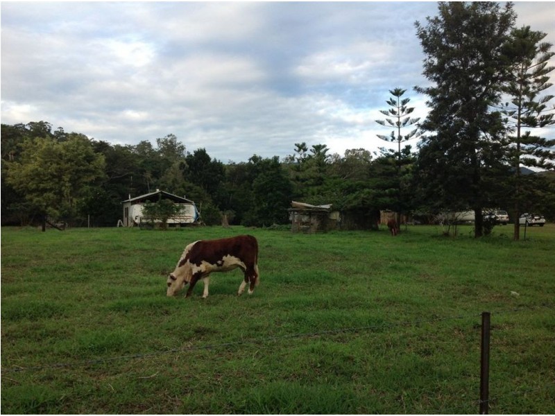 2 Cedar Creek Falls Road, Conway QLD 4800