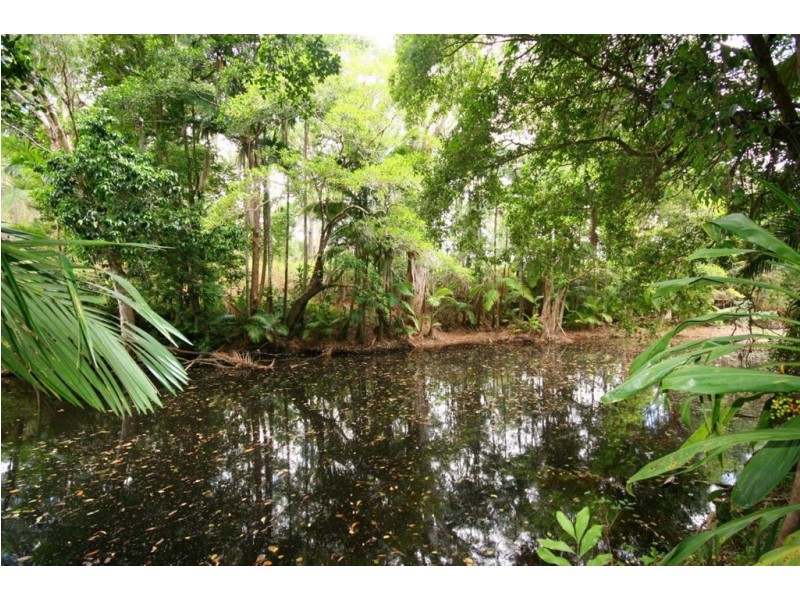 2 Cedar Creek Falls Road, Conway QLD 4800