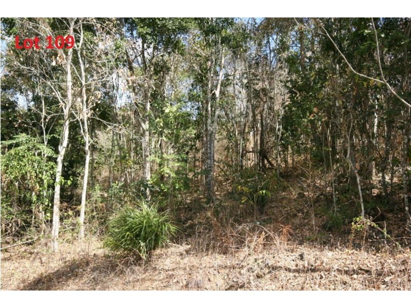 L105,107 &/L109 Moody Road, Strathdickie QLD 4800