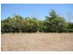 9 Sabel Boulevard, Jubilee Pocket QLD 4802