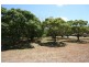 9 Sabel Boulevard, Jubilee Pocket QLD 4802