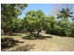 44 Maeva Street, Jubilee Pocket QLD 4802