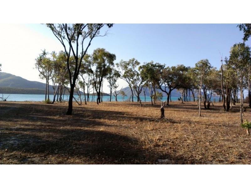 79 Trochus Street, Dingo Beach QLD 4800