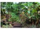 38 Pepperberry Lane, Cannon Valley QLD 4800