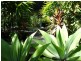 160 Paluma Road, Cannonvale QLD 4802