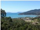 31 Cumberland Court, Airlie Beach QLD 4802