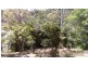 52 Tropic Road, Cannonvale QLD 4802