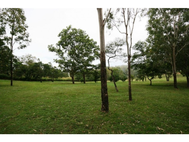 185 Paluma Road, Cannonvale QLD 4802