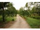 185 Paluma Road, Cannonvale QLD 4802