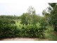 185 Paluma Road, Cannonvale QLD 4802