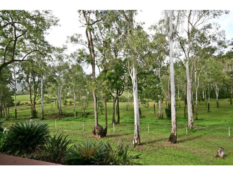 49 Gillies Road, Strathdickie QLD 4800