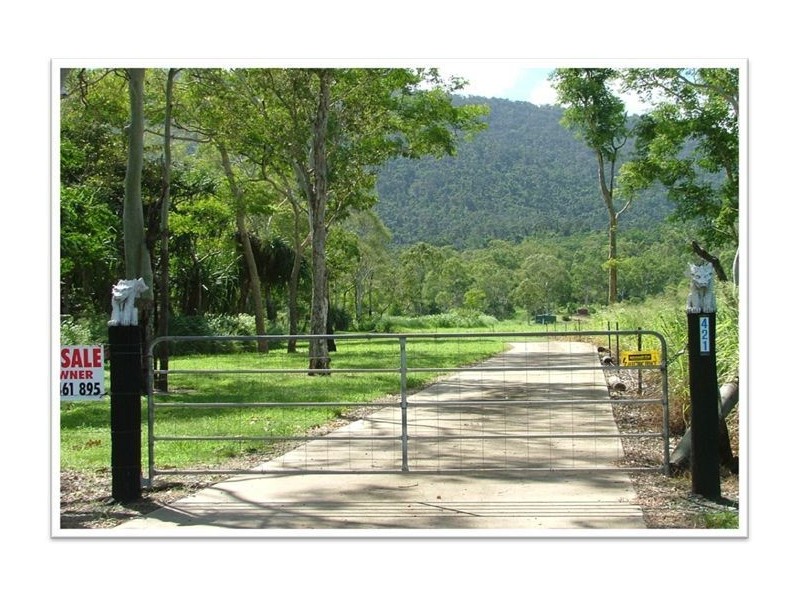 406 Riordanvale Road, Riordanvale QLD 4800