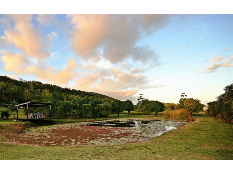 273 Shute Harbour Road, Mount Julian QLD 4800