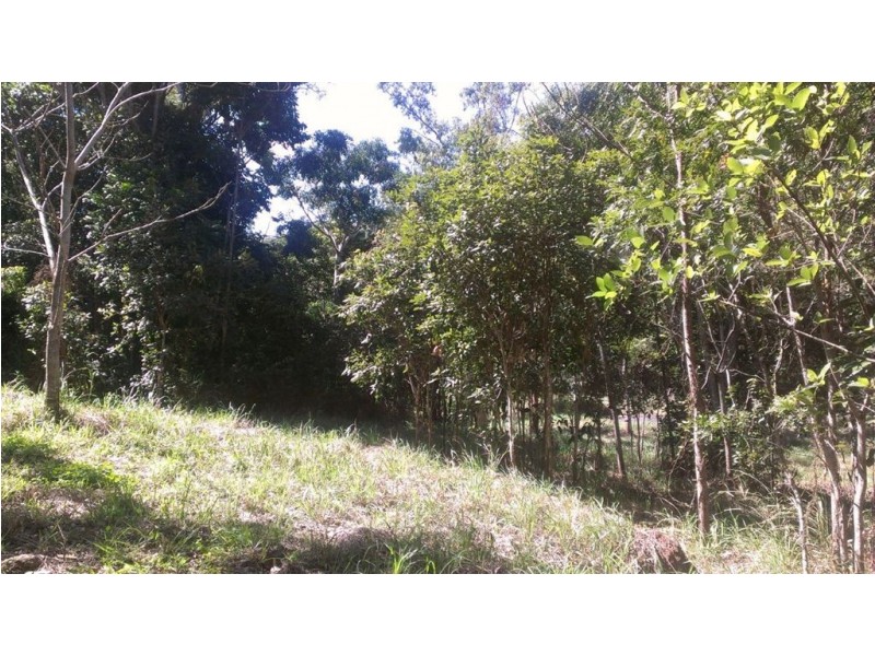 Lot 1 Johnswood Road, Cannonvale QLD 4802