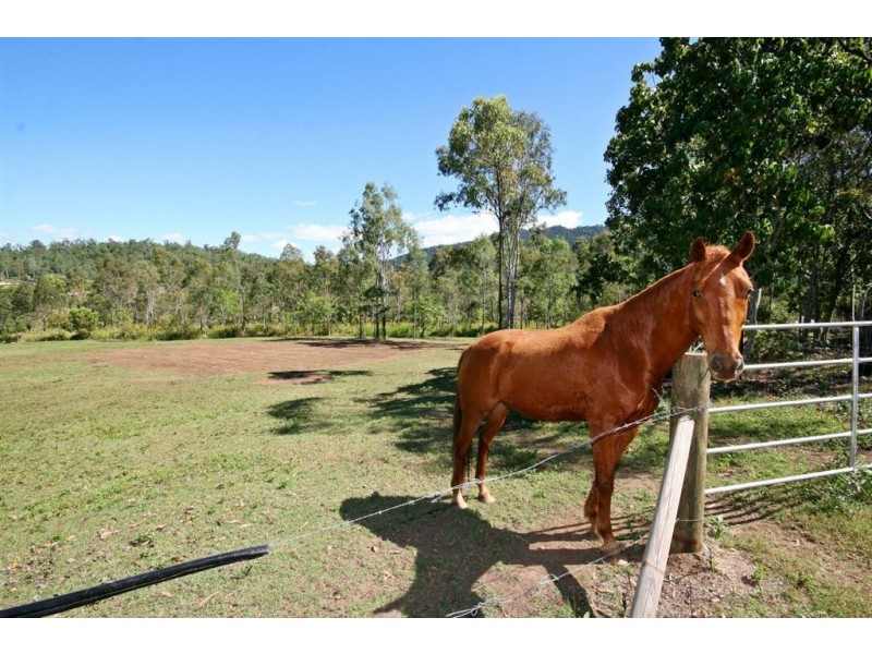 63 Turner Road, Riordanvale QLD 4800