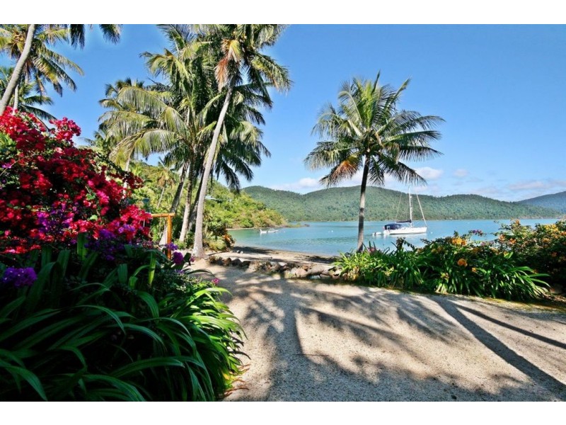 16/Lot P Palm Bay, Long Island QLD 4741