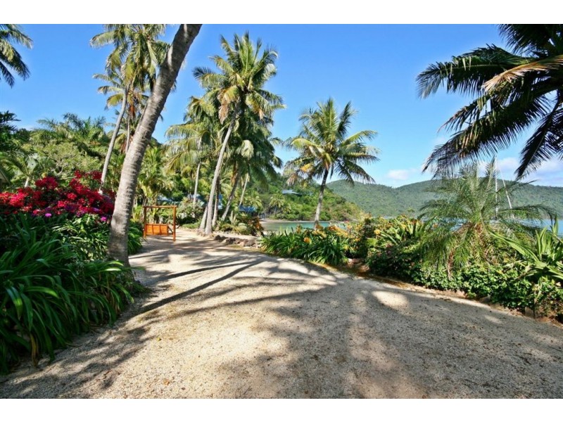 16/Lot P Palm Bay, Long Island QLD 4741