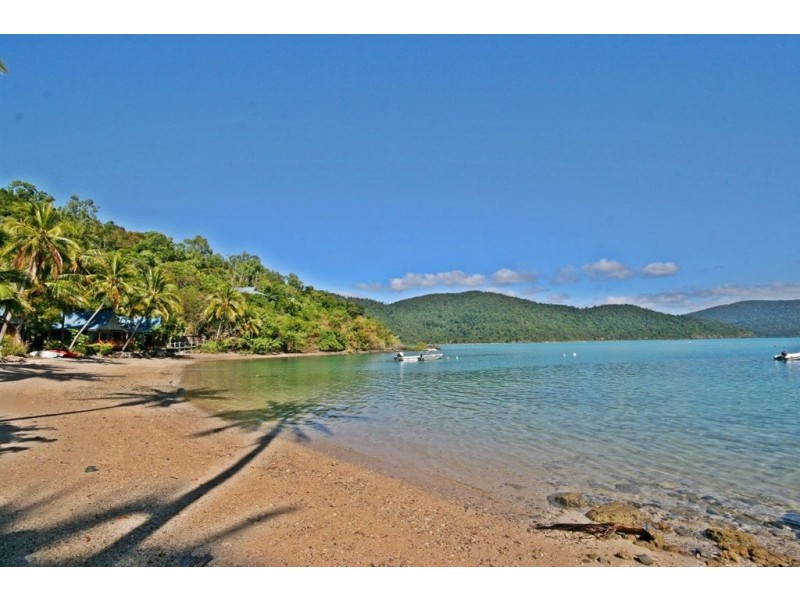 16/Lot P Palm Bay, Long Island QLD 4741
