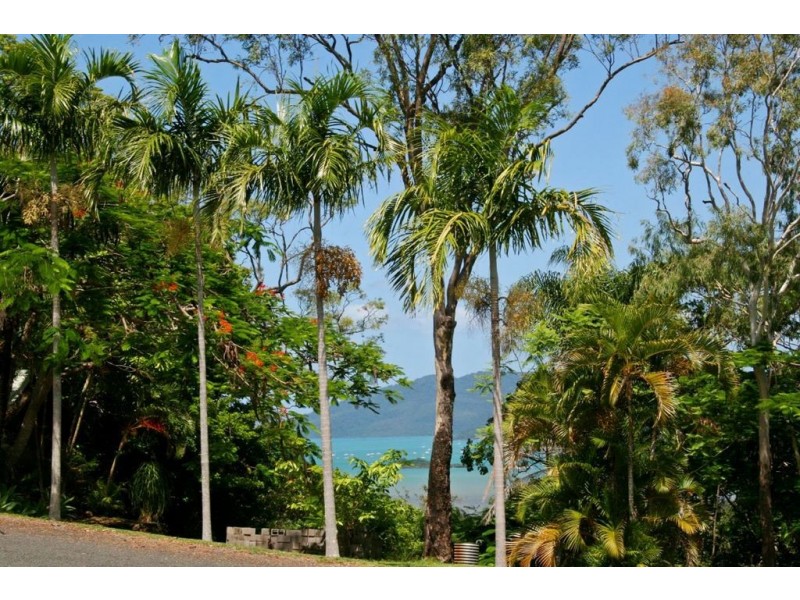 55 Black Road, Riordanvale QLD 4800