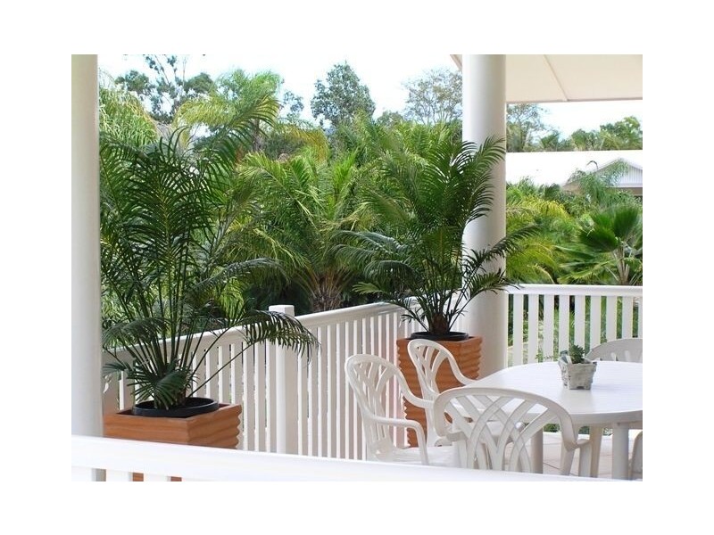 3/24 Pandanus Drive, Cannonvale QLD 4802