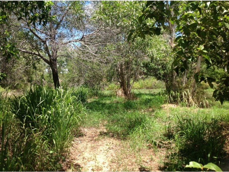 38 Hydeaway Bay Drive, Dingo Beach QLD 4800