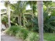 12 Catherine Crescent, Jubilee Pocket QLD 4802