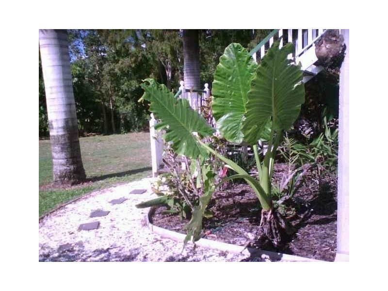 11 Jasinique, Flametree QLD 4802