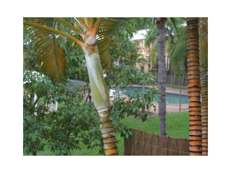 16/11 Island Drive, Cannonvale QLD 4802