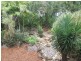 17b Nara Ave, Airlie Beach QLD 4802