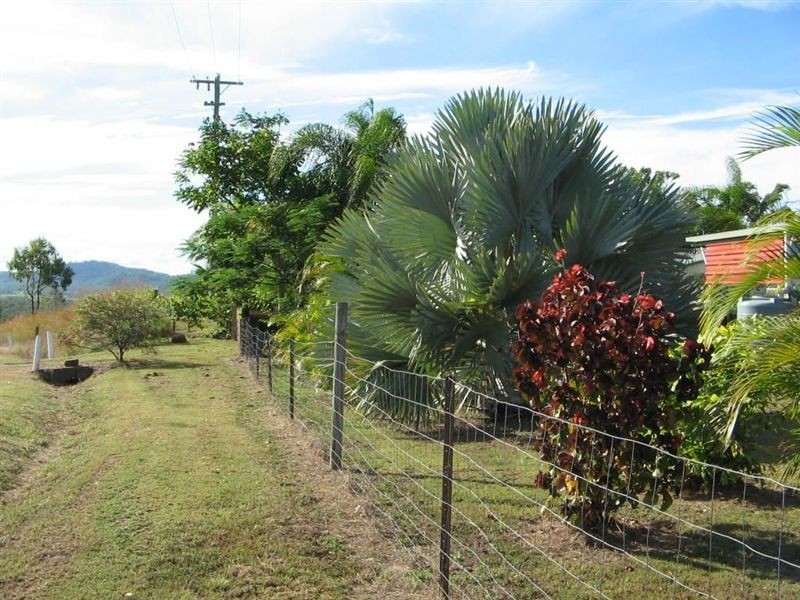 134 Lindeman Drive, Midge Point QLD 4799