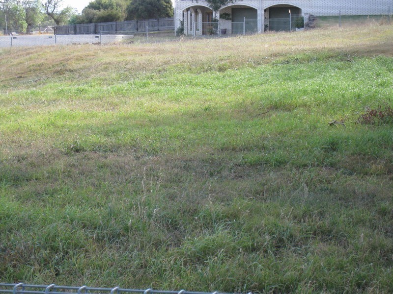 Warwick QLD 4370