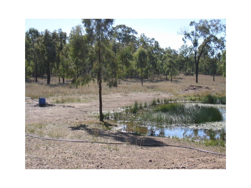 Warwick QLD 4370