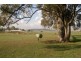 Allora QLD 4362