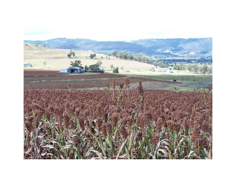 Warwick QLD 4370