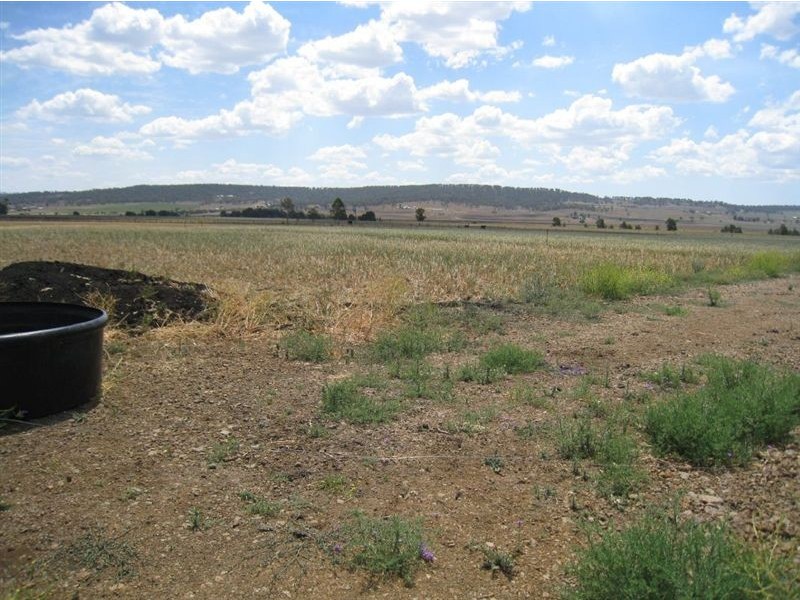 Warwick QLD 4370
