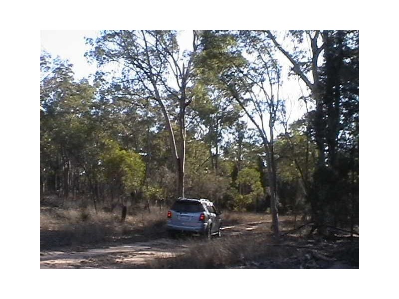 175 Rauchle Rd, Leyburn QLD 4365