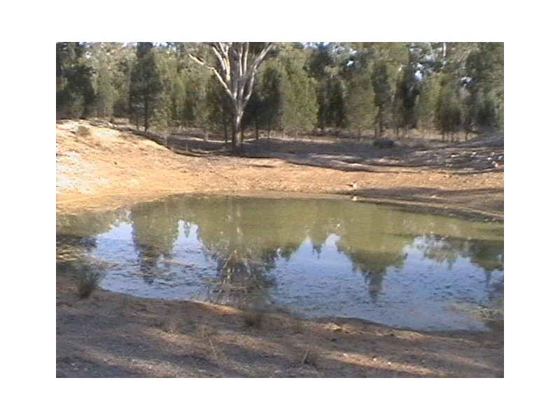 175 Rauchle Rd, Leyburn QLD 4365