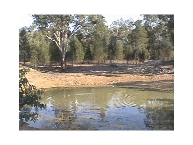 175 Rauchle Rd, Leyburn QLD 4365