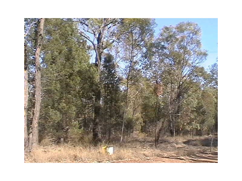 175 Rauchle Rd, Leyburn QLD 4365