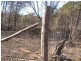 175 Rauchle Rd, Leyburn QLD 4365