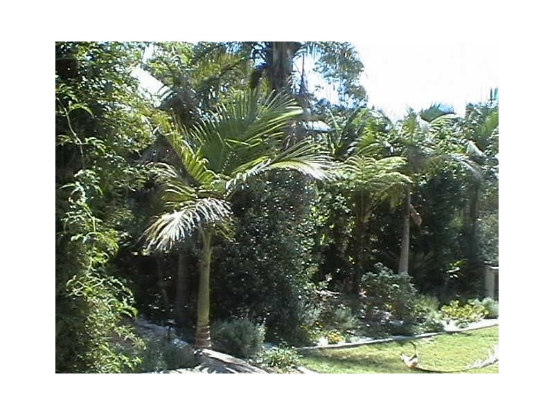 333 Cullendor Creek Rd, Warwick QLD 4370