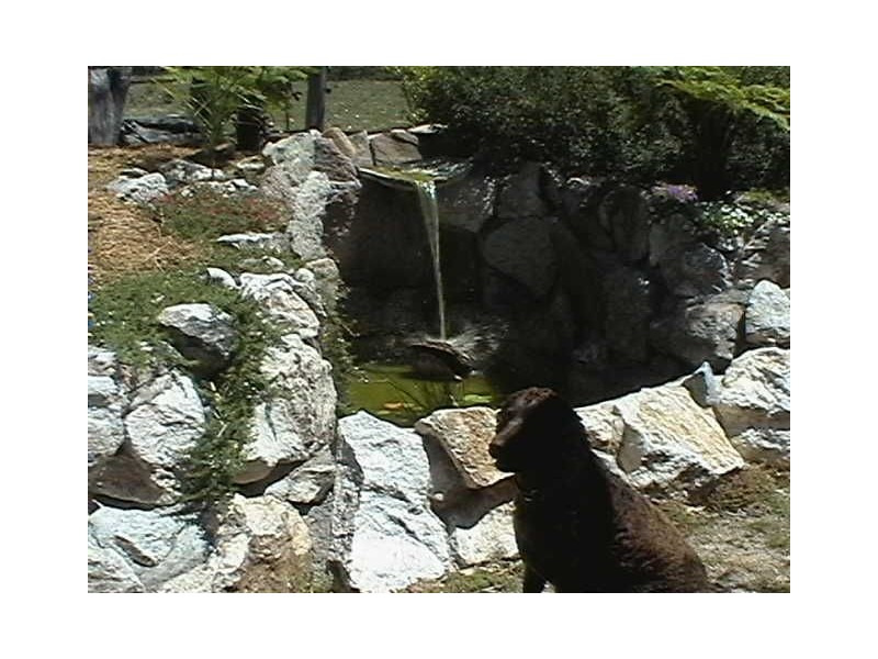 333 Cullendor Creek Rd, Warwick QLD 4370