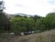Swanfels QLD 4371