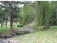 Swanfels QLD 4371