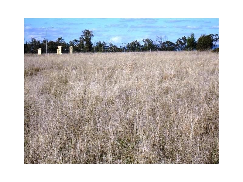 Warwick QLD 4370