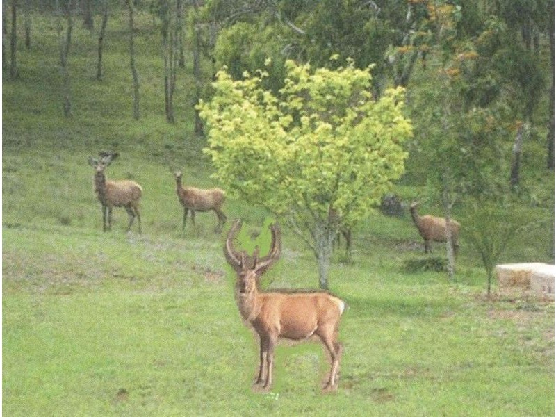 19 Sand St., Warwick QLD 4370